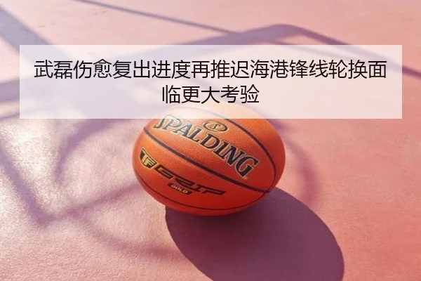 武磊伤愈复出进度再推迟海港锋线轮换面临更大考验