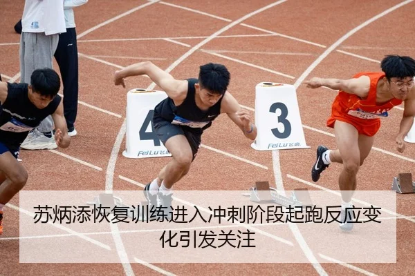 苏炳添恢复训练进入冲刺阶段起跑反应变化引发关注