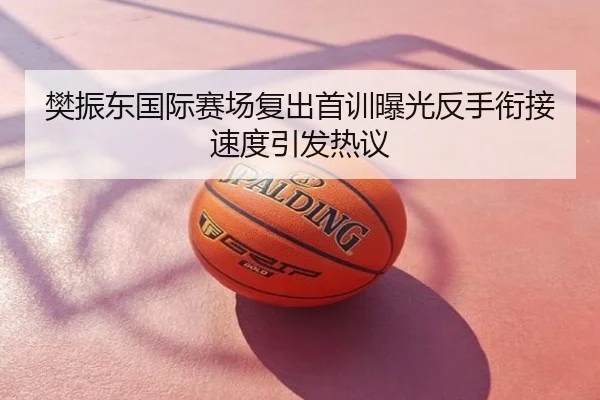 樊振东国际赛场复出首训曝光反手衔接速度引发热议
