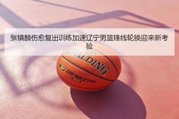 张镇麟伤愈复出训练加速辽宁男篮锋线轮换迎来新考验